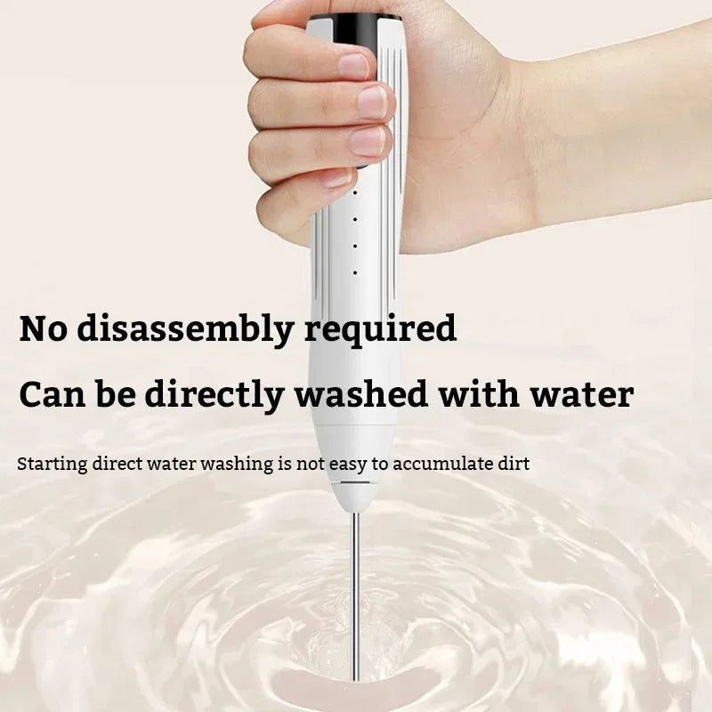 Handheld Electric Milk Frother