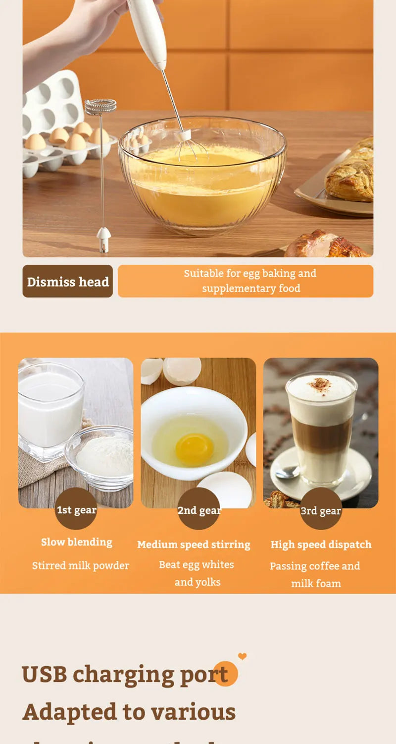 Handheld Electric Milk Frother